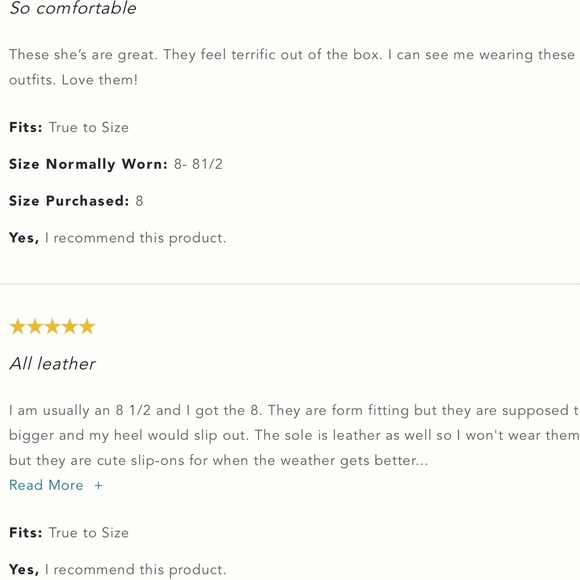 Beek Skylark Platinum NEW WITHOUT BOX. - Picture 7 of 8